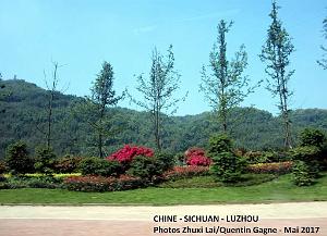 Luzhou 068